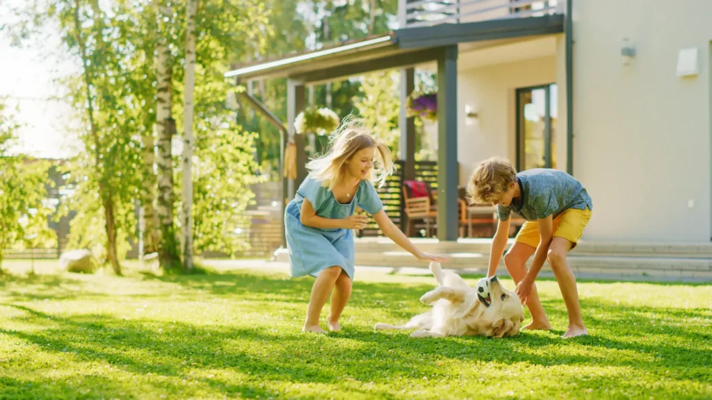 Kids playing with golden retriever in backyard protected by underground dog fence